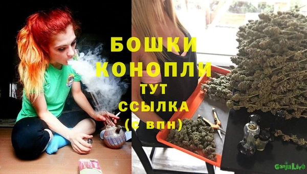 PSILOCYBIN Волоколамск