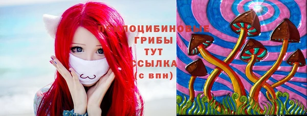 PSILOCYBIN Волоколамск