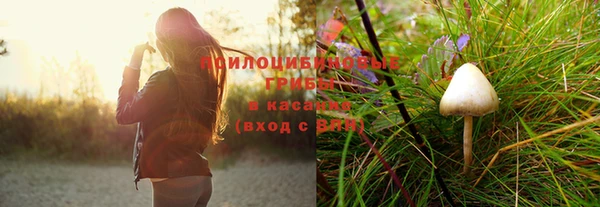 СК Волосово