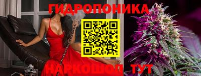 твердый Гай