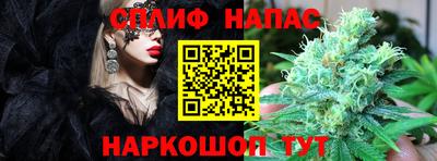 твердый Гай