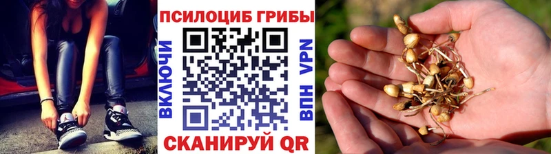 Галлюциногенные грибы Cubensis  цены наркотик  Муром 