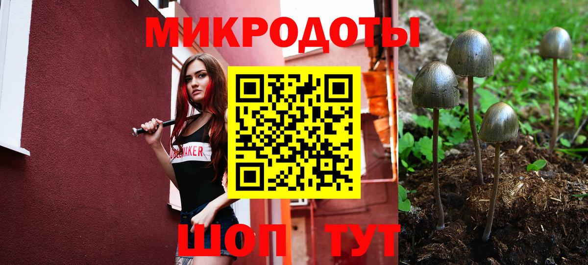 Муром  Псилоцибиновые грибы Magic Shrooms  Вход с VPN 